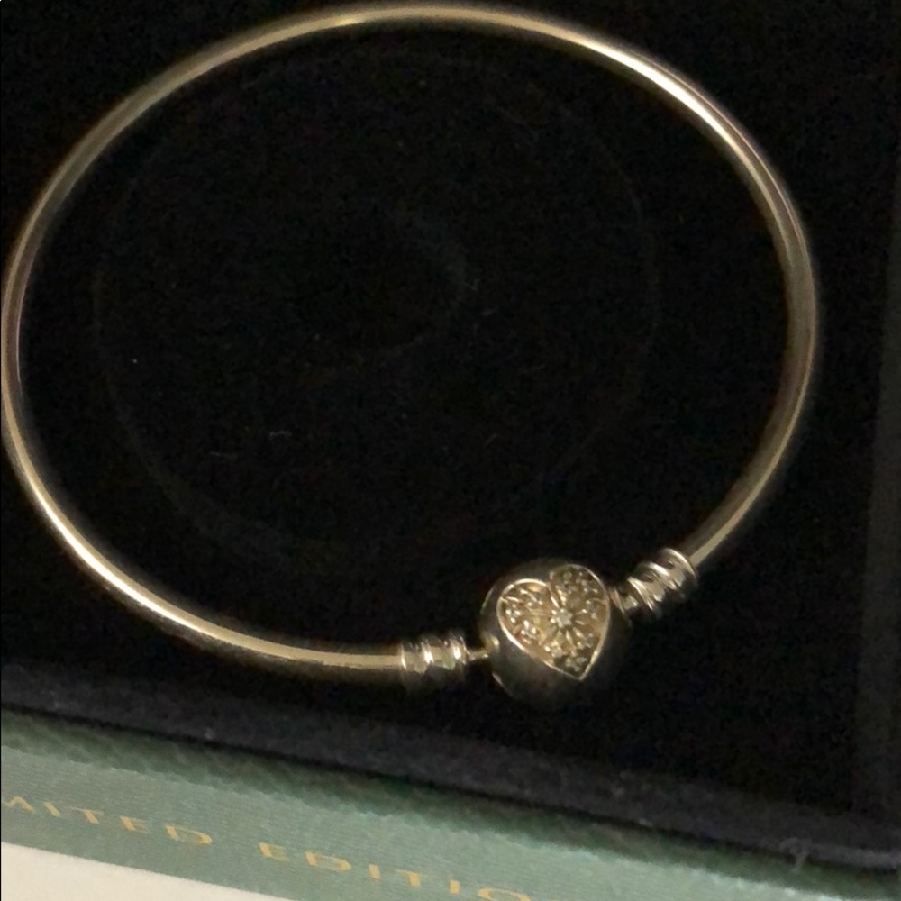 Pandora bracelet